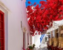 street_Mykonos_GREECE.jpg