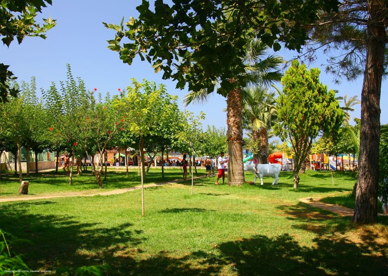Eri Beach. Gardens