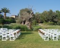 18 St Raphael Limassol Cyprus Olive Tree Ceremony Area Olympic Weddings