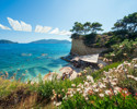 Cameo Island, Zante Weddings