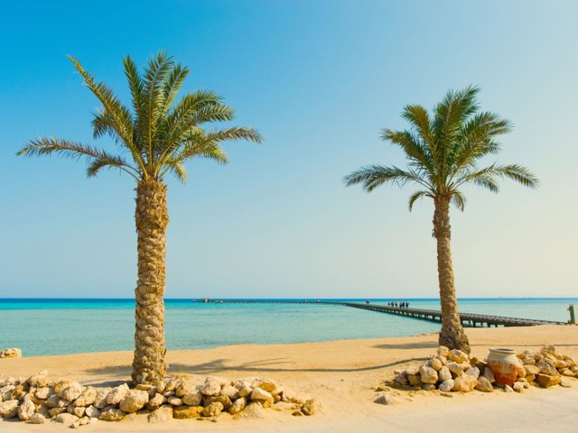 Somabay2