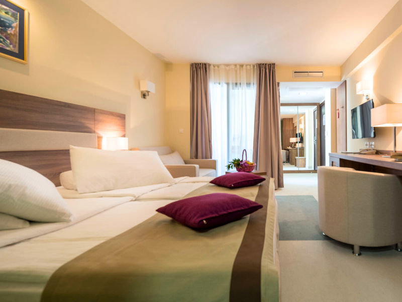Standard Room at Hotel Park Makarska