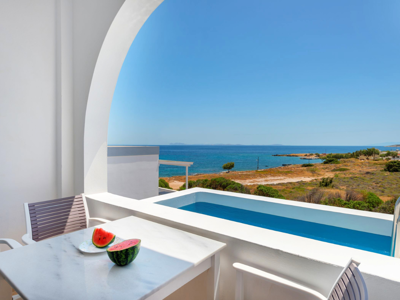 Suite with Private Pool View at Aegean Paradiso